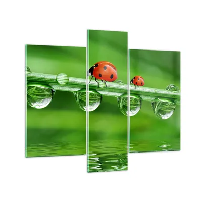 Produktbild von Bilder auf glas - Marienkäfer Wasser Grün Umwelt - 95x80cm - Glasbilder - Wandbilder - Kunstdruck - zum Aufhängen bereit - Wanddekoration aus Glas - Glas Bilder - Wandbild auf Glas - GCB95x80-2661