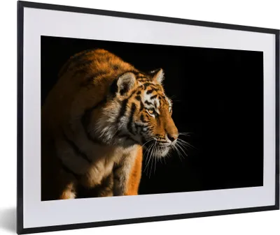 Produktbild von MuchoWow® MuchoWow® Gerahmtes Poster Tiger - Jagd - Sonne 60x40 cm - Poster mit zchwarzem Bilderrahmen - Schlafzimmer - Plakat in Rahmen - Drucken