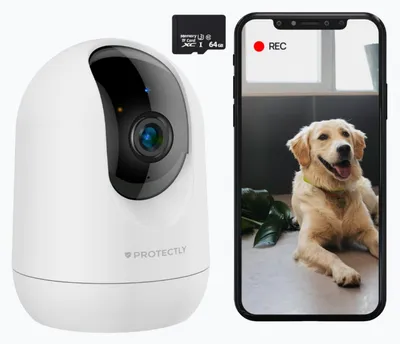 Productafbeelding van Protectly® Beveiligingscamera Binnen - Petcam met App - 2K 3MP Ultra HD - Bewegings- en geluidsdetectie - Wit