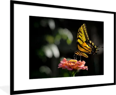 Produktbild von MuchoWow® Gerahmtes Poster Schmetterling - Botanisch - Blume 90x60 cm - Poster mit Schwarzem Bilderrahmen Wandposter Rahmen Foto Bilder - Wanddekoration - Fotos