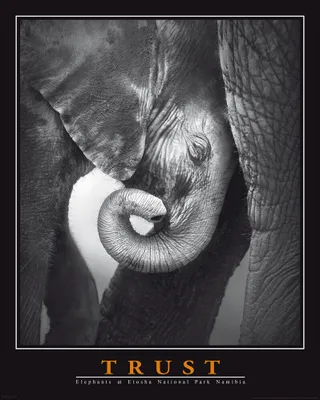 Produktbild von Motivational Mini-Poster Trust Elephant