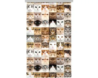 Obrázek produktu pro Fotozáclona AGdesign neprůhledná, Kočky 140 x 245 cm