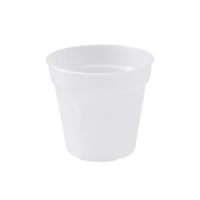 Image de elho green basics Orchidee 15cm - transparent