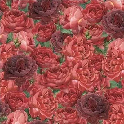 Immagine prodotto di Carta origami 15x15 cm 24K Roses