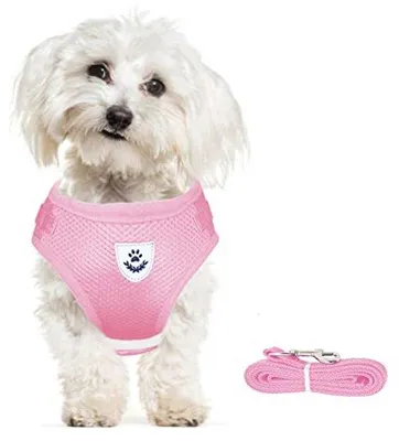 Produktbild von Hundegeschirr und Leine - Verstellbar, leicht und reflektierend