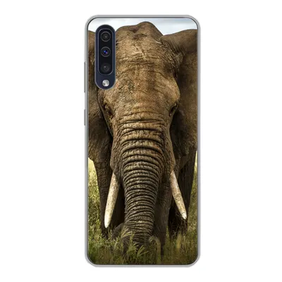 Produktbild von MuchoWow® Handyhülle Schutzhülle Hülle für Samsung Galaxy A30s Elefant - Natur - Gras - Tiere - Landschaft Silikon Softcase Handy Hülle - Karteninhaber