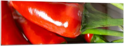 Produktbild von Bilder auf glas - Gemüse würzig Chili - 160x50cm - Glasbilder - Wandbilder - Kunstdruck - zum Aufhängen bereit - Wanddekoration aus Glas - Glas Bilder - Wandbild auf Glas - Einteilig - GAB160x50-1135