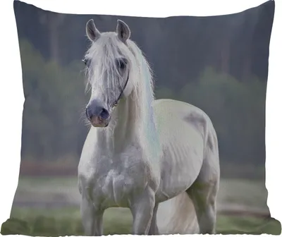 Produktbild von MuchoWow® Outdoor Kissen - Pferd - Licht - Morgen - 50x50 cm - Wetterfest - Lounge Kissen - Komfortabel - Kissen mit Bild