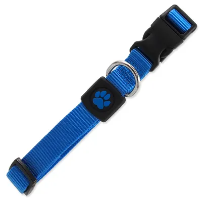 Obrázek produktu pro Obojek DOG Premium modrý M 1 ks