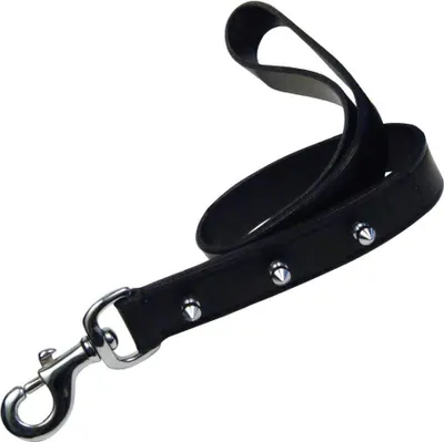 Immagine prodotto di Guinzaglio per cani Gloria Nero 60 cm