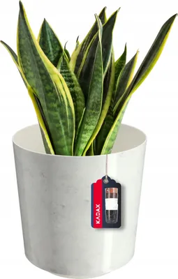 Produktbild von KADAX Blumentopf "Belvi", Pflanzkübel aus Kunststoff, Pflanzentopf, Topf für Pflanzen, 19 cm, Marmor Weiß