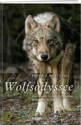 Obrázok produktu pre Wolfsodyssee