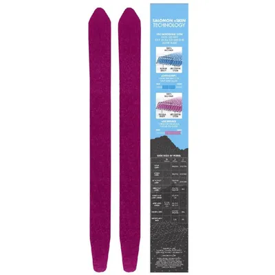 Obrázok produktu pre Eskinrace Salomonpost L-440cm 21/22 41695000
