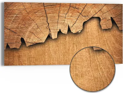 Produktbild von DEQORI Hybrid Leinwand Bild 60x30 cm 'Baumzeitzeugen' Wandbild Glas flach modern