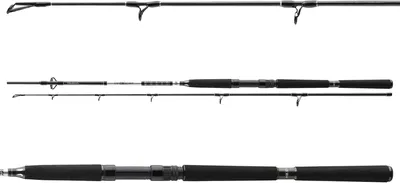 Obrázok produktu pre Daiwa BG Pilk 2.10m 40-125g 11928-210 Meeresrute