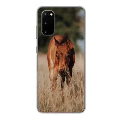Produktbild von MuchoWow® Handyhülle Schutzhülle Hülle für Samsung Galaxy S20 Pferd - Sonne - Landschaft Silikon Softcase Handy Hülle - Bild