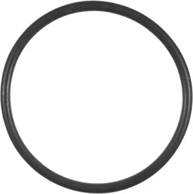 A black O-ring is shown against a white background.
