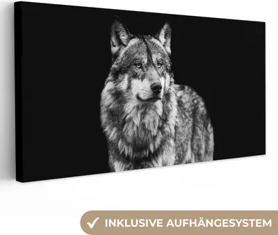 Obrázok produktu pre MuchoWow® - Plátno - Vlk - Zvieratá - Divoká - Čierna - Biela, nástenná maľba, nástenné dekorácie obrazy obývacia izba, 40x20cm