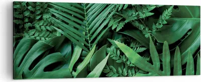Produktbild von Bild auf Leinwand - Leinwandbild - Einteilig - Exotisch Blätter Monstera - 140x50cm - Wand Bild - Wanddeko - Wandbilder - Leinwanddruck - Bilder - Wanddekoration - Leinwand bilder - AB140x50-4746