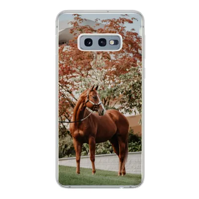 Produktbild von MuchoWow® Handyhülle Schutzhülle Hülle für Samsung Galaxy S10e Pferd - Baum - Halfter Silikon Softcase Handy Hülle - Handy