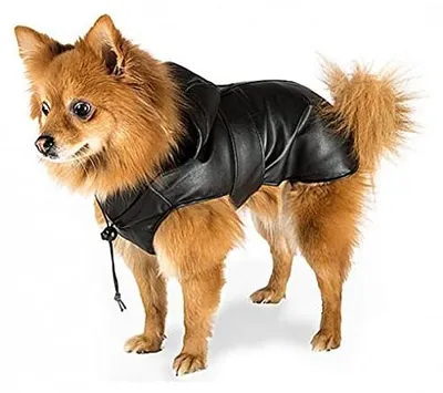 Immagine prodotto di Ferplast Schwarz (Trench, colore nero, taglia 55)