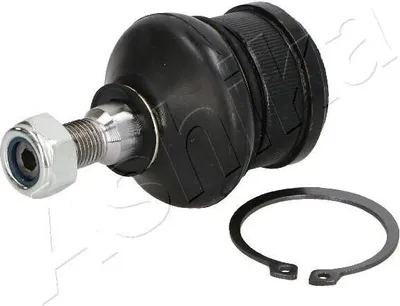 Produktbild von ASHIKA Traggelenk Vorne für MITSUBISHI COLT VI (Z3A, Z2A) 73-05-502