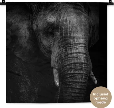 Produktbild von MuchoWow® Wandteppich Wandbehang Elefant - Tier - Porträt 60x60 cm Tapisserie Dekoration Wandtuch - Dekorationen - Wand Decke