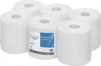 Produktbild von 6 Rollen Ecoline Handtuchpapier Innenabrollung 2-lagig hülsenlos Zellstoff 450 Abrisse 6 Rollen