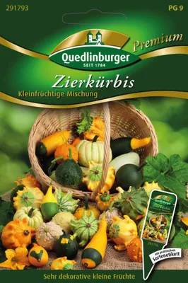 Zdjęcie produktu dla Quedlinburger Saatgut - Dynia ozdobna drobnoowocowa Mg - Nasiona - 291793