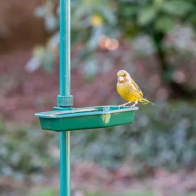 Produktbild von CJ Wildlife Vogelfutterstation mit Schäferhaken - Kunststoff, Grün - für kleine Vögel - frosthart - kompatibel mit Vivara-Pfahlsystemen