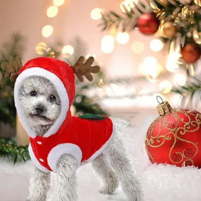 Produktbild von Weihnachts-Hundekleidung, Weihnachtsmannkostüm, süßes Rentier-Hundekostüm, Katzenkostüm, warmer Wintermantel für Haustiere