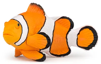 Produktbild von Papo Clownfisch, 3 Jahr(e), Marine life, Mehrfarbig, PVC