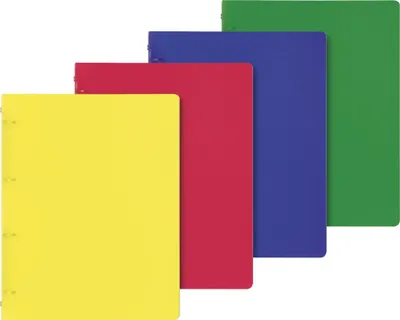 Produktbild von BRUNNEN Ringbuch A4 FACT! 16cm 4-Ringe 106554628