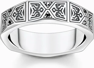 Produktbild von Thomas Sabo Ornament TR2432-643-11 Ring, Ringgröße:66