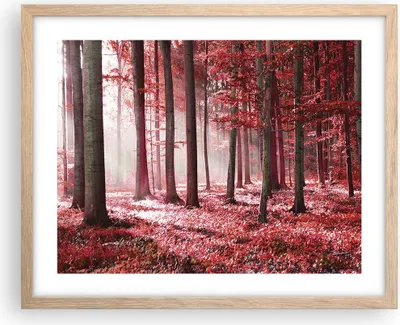 Produktbild von Gerahmtes Poster - Rahmen in heller Eiche - Wald Rot Bäume - 50x40 cm - Wand Bild - Wanddeko - Wandbilder - Kunstposter - Wandposter - Bilderrahmen - Bilder - Kunstdruck - P2NAA50x40-4944