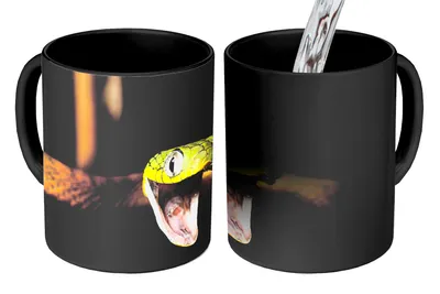 Obrázok produktu pre MuchoWow® Magický pohár Had - Zviera - Čierny 350 ml Pohár na zmenu farby Darček Nápad na darček - Foto hrnček