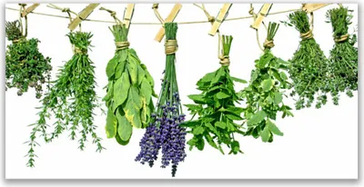 Produktbild von Tulup Leinwand-Bilder 120x60 Wandbild Canvas Kunstdruck Blumen Blätter Pflanzen