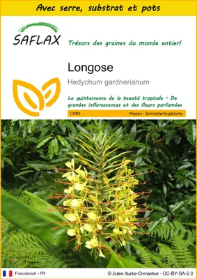 Image de SAFLAX Ensemble de culture - Longose - 10 graines - Hedychum