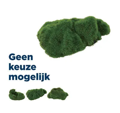 Produktbild von Zolux Ornament Kieselstein Wachsende Dekoration Assorted