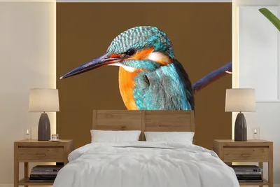 Produktbild von MuchoWow® Fototapete für Wohnzimmer oder Schlafzimmer Wandtapete Vinyl Motivtapete Eisvogel - Äste - Bunt - 350x350 cm - Schlafzimmertapete