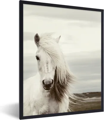Produktbild von MuchoWow® Gerahmtes Poster Pferd - Strand - Mähne 60x80 cm - Poster mit Schwarzem Bilderrahmen Wandposter Rahmen Foto Bilder - Premium - Wanddeko Wohnzimmer