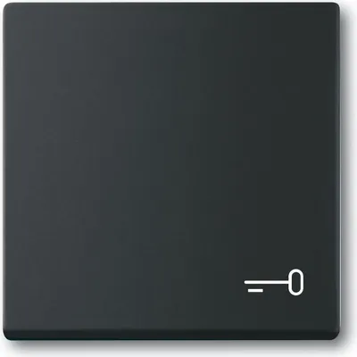 Produktbild von Busch-Jaeger 2520 TR-885, Schwarz, Thermoplast, Schraubenlos, Busch-Jaeger, Matte, IP20