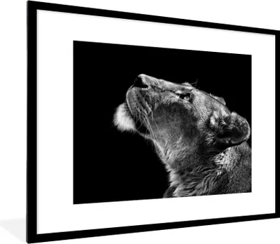 Produktbild von MuchoWow® Gerahmtes Poster Löwe - Tiere - Schwarz und weiß 80x60 cm - Poster mit Schwarzem Bilderrahmen Wandposter Rahmen Foto Bilder - Schlafzimmer-Dekorationen - Fotoposter