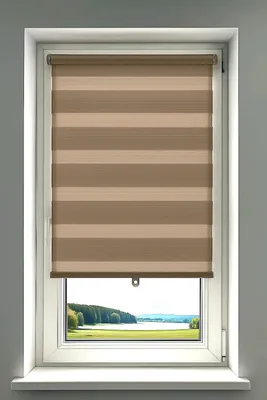A window with a dual-layer roller blind partially covering the view of a lake and trees.