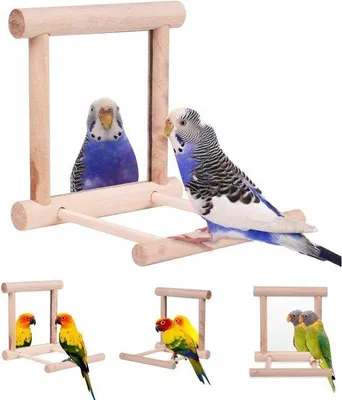 Immagine prodotto di Giostra sospesa a forma di gabbia per uccelli, 10x10x10 cm, con specchio – Accessori per gabbie per pappagalli, cacatua, falchi e altri uccelli