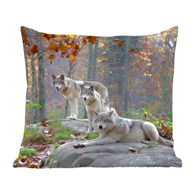 Produktbild von MuchoWow® Zierkissen Sofakissen Wohnzimmer Dekokissen 45x45 cm Wölfe - Fels - Wald - Schlafpolster - Polster für das Sofa