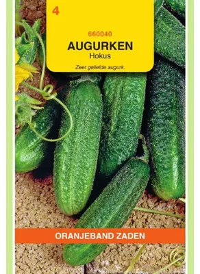 Immagine prodotto di Oranjeband Gurken Hokus - 1 confezione di semi