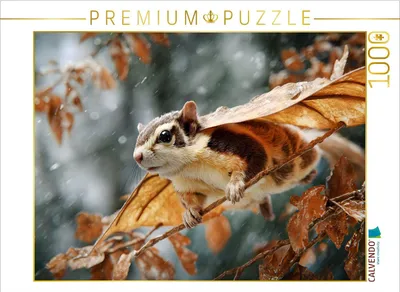 Produktbild von CALVENDO Puzzle Ein Motiv aus dem Kalender "Windreisende" | 1000 Teile Lege-Größe 64x48cm Foto-Puzzle für glückliche Stunden