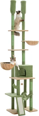 Produktbild von Purpurra Kratzbaum Deckenhoch Moderner Kaktus Katzenkratzbaum doppelt Post mit großer Höhle Grün, 230cm