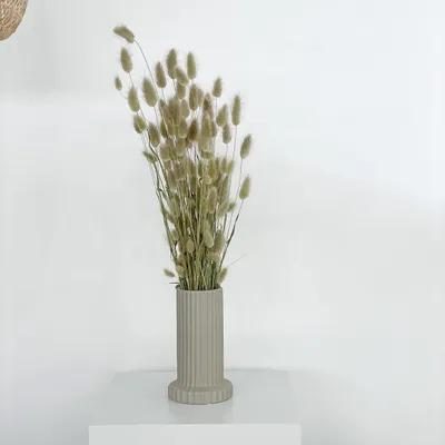 Produktbild von Lagurus Hasenschwanz Samtgras Trockenblumen 60-70cm DIY Blumendeko Naturdeko